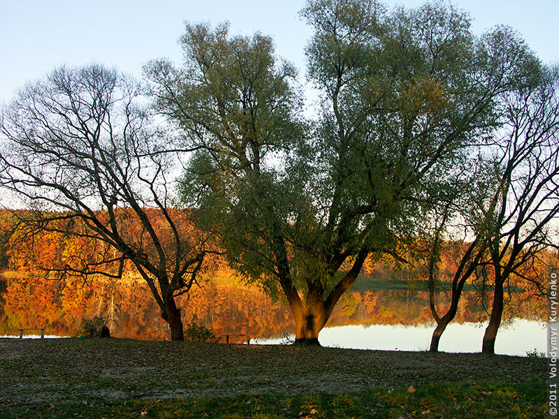 photo from slideshow