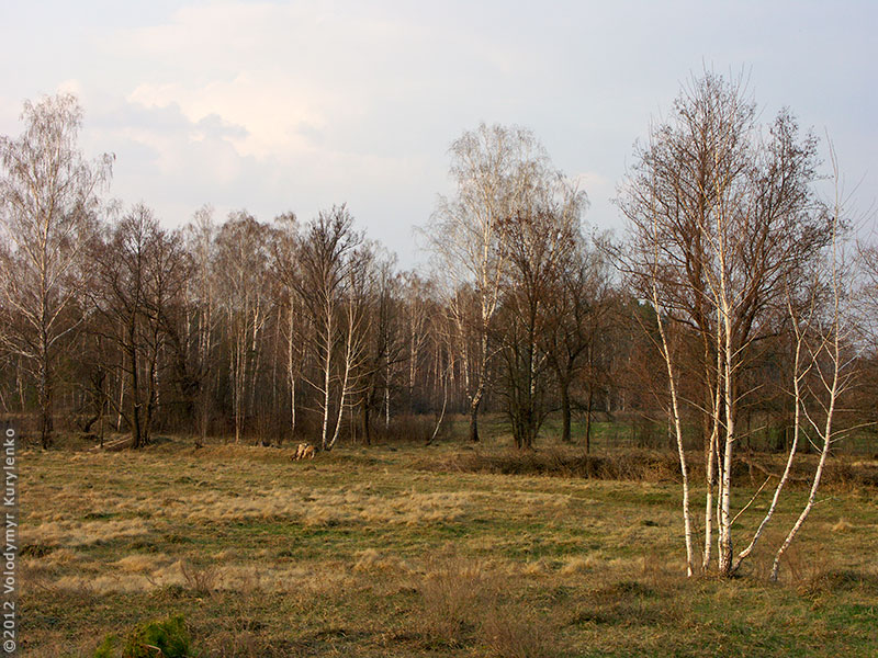 photo from slideshow