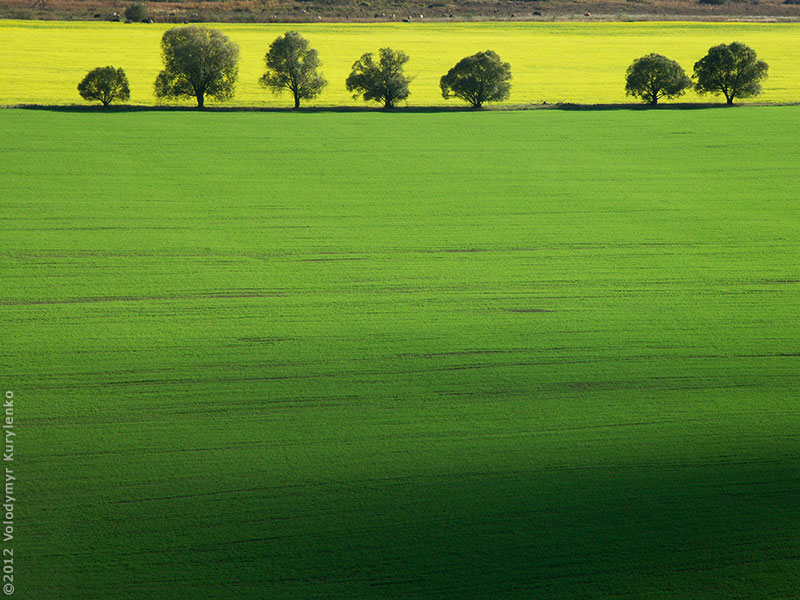 photo from slideshow