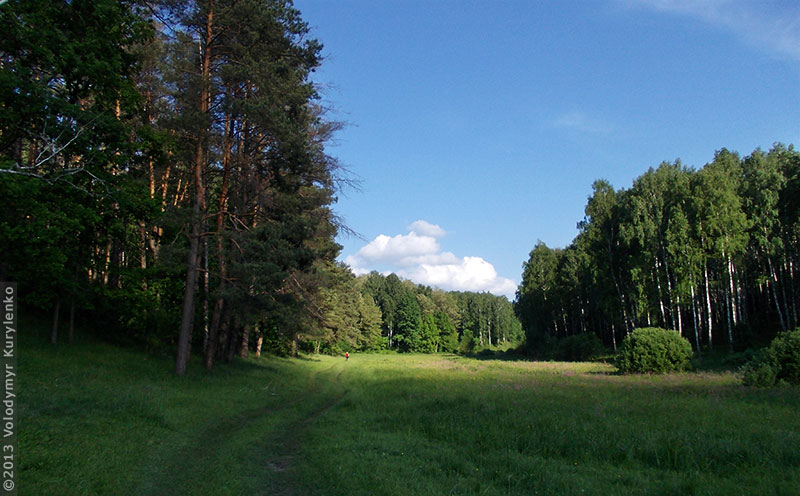 photo from slideshow