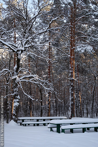 photo from slideshow