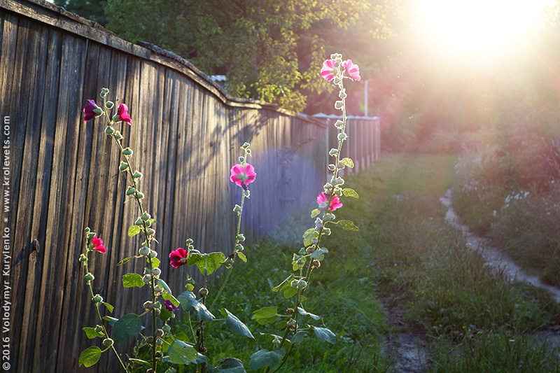 photo from slideshow