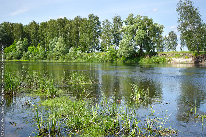 photo from slideshow