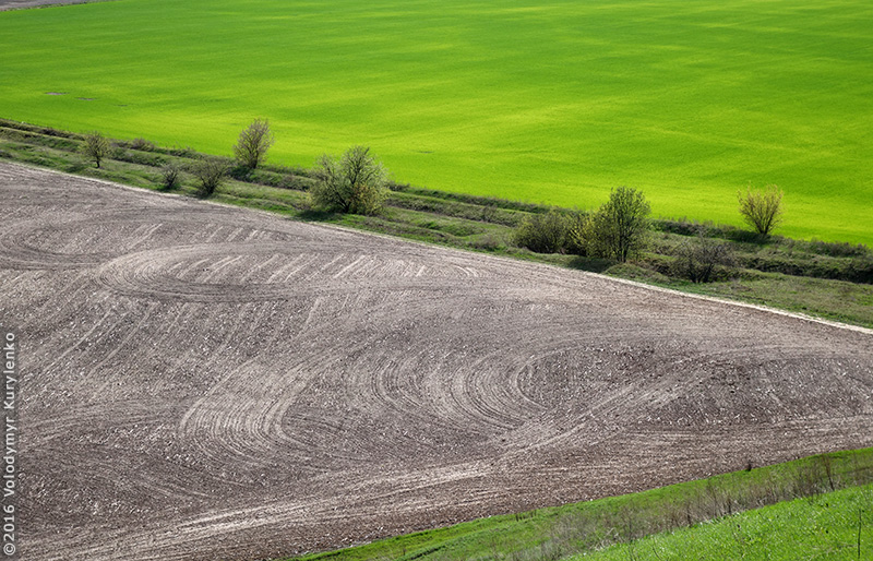 photo from slideshow