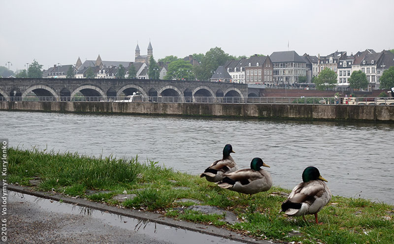 photo from slideshow