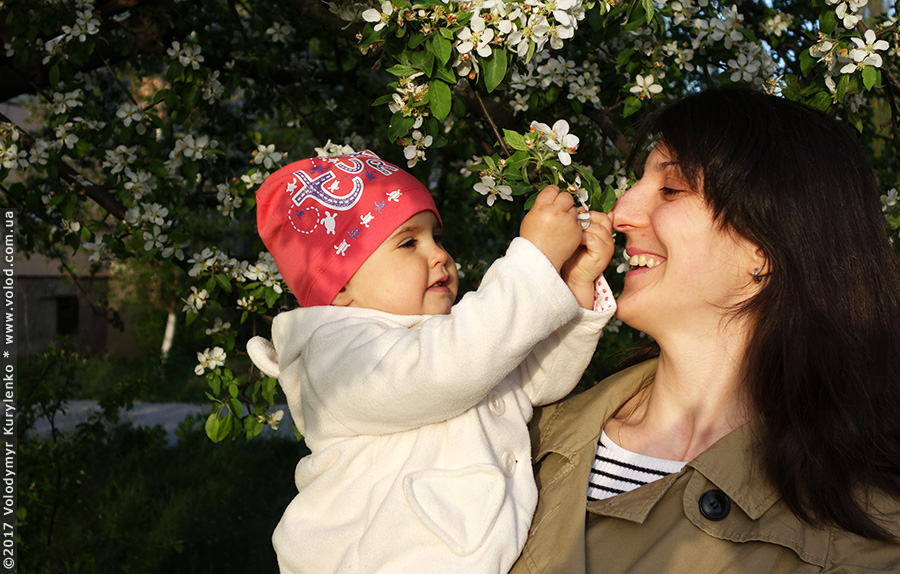 photo from slideshow