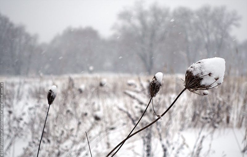 photo from slideshow