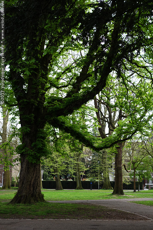 photo from slideshow