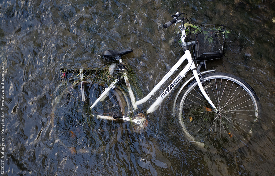 photo from slideshow