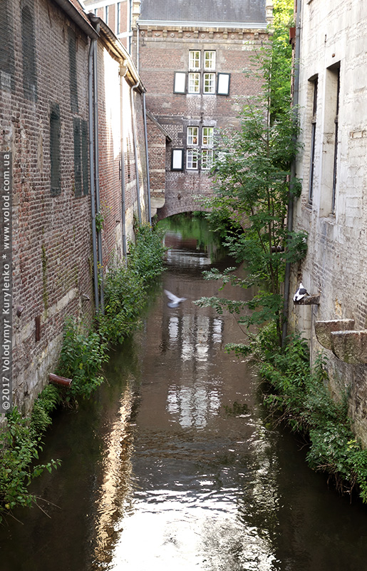 photo from slideshow