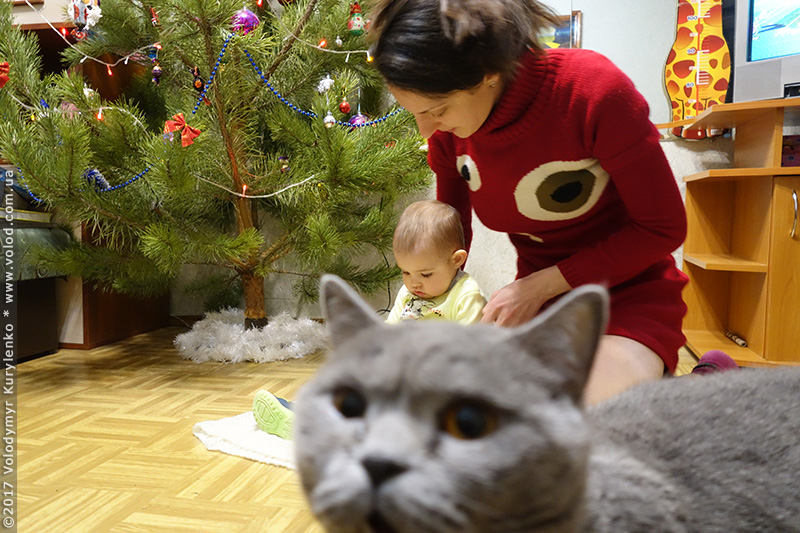 photo from slideshow