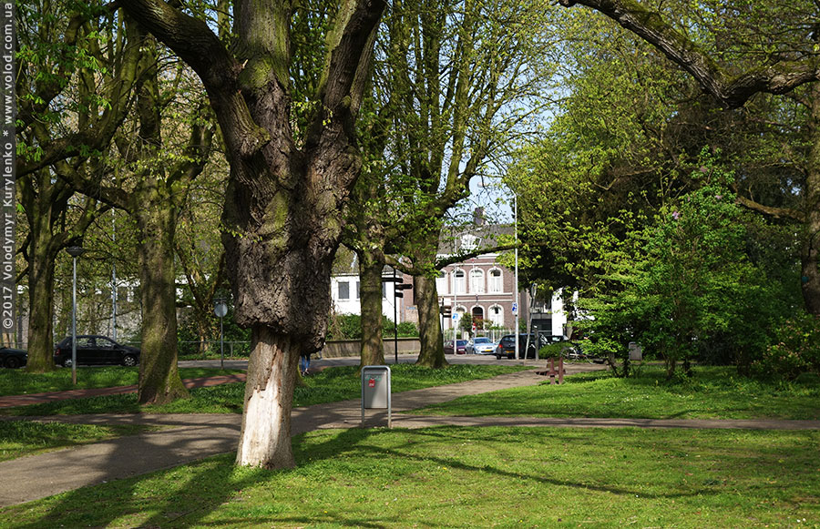 photo from slideshow