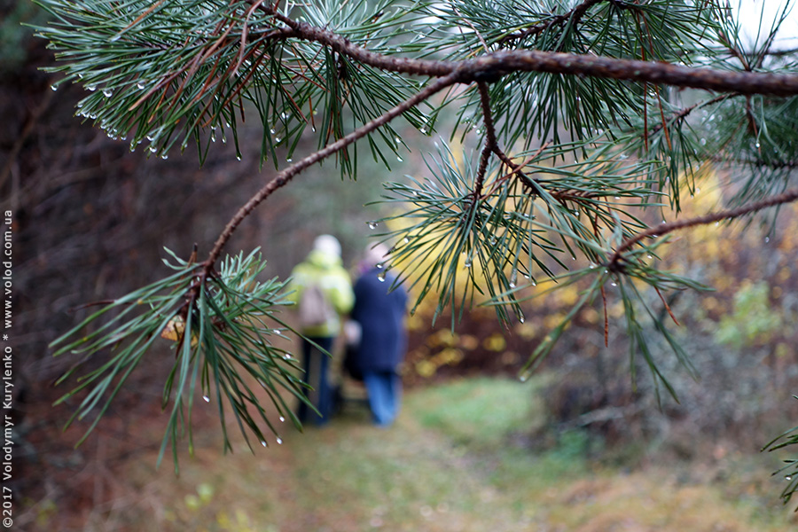 photo from slideshow