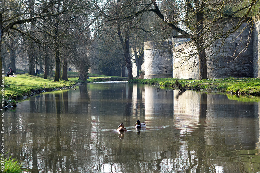 photo from slideshow