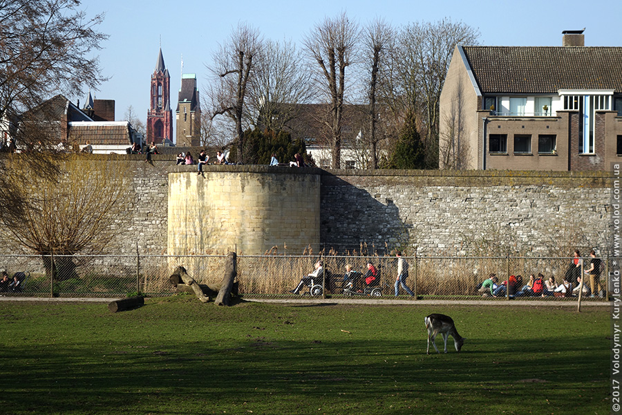 photo from slideshow