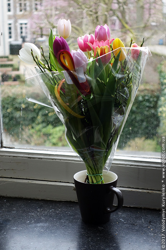 photo from slideshow