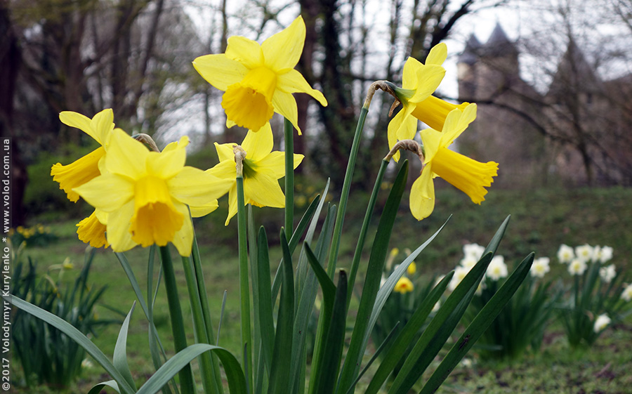 photo from slideshow