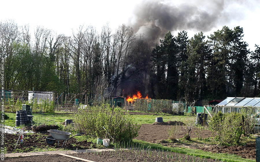 photo from slideshow