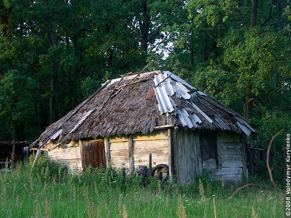 photo from slideshow