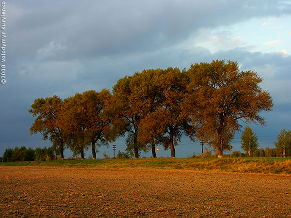 photo from slideshow