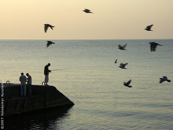 photo from slideshow