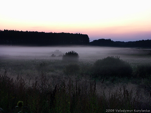 photo from slideshow