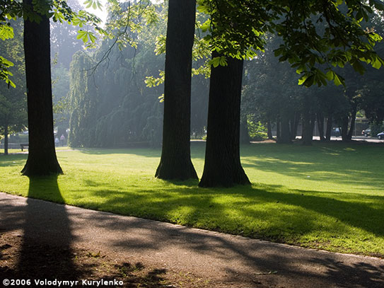 photo from slideshow