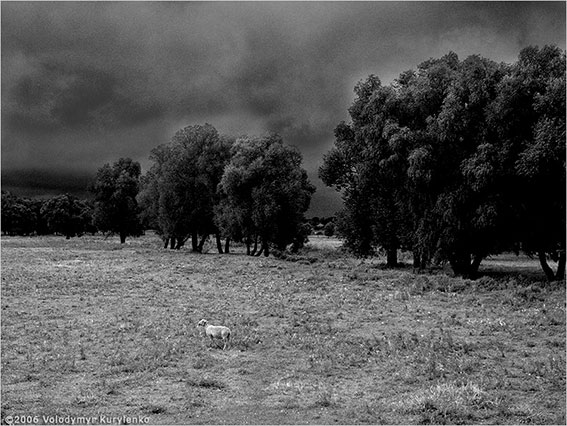 photo from slideshow